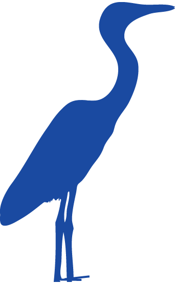 Noirmoutier héron